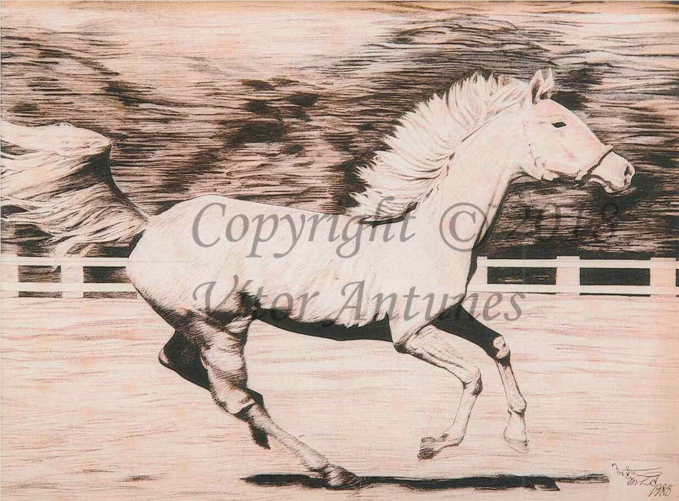 Cavalo 