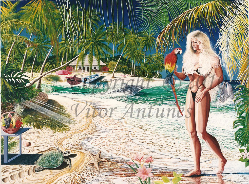 Ilha - Virgem